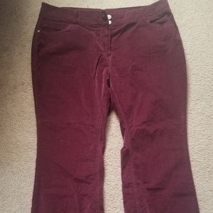 Anthology Women's Corduroy Pants